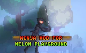 Read more about the article NINJA MOD FOR MELON PLAYGROUND AND SANDBOX MOD