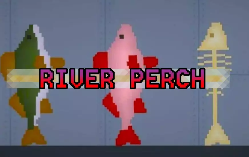Read more about the article RIVER PERCH MOD