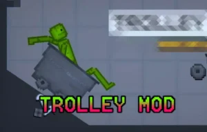 Read more about the article TROLLEY MOD