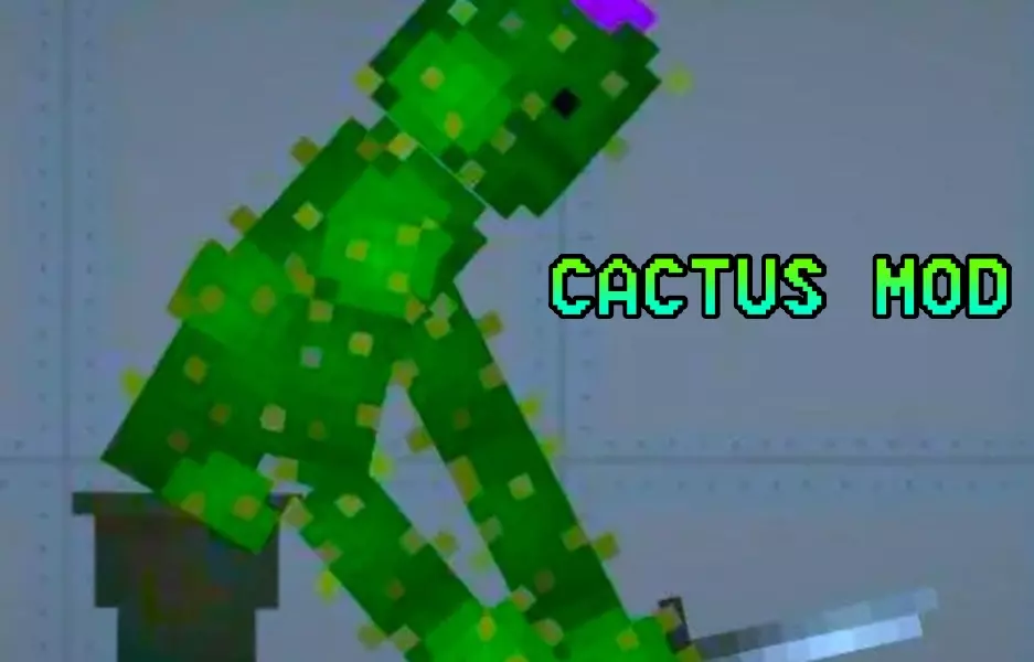Read more about the article CACTUS MOD