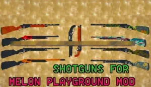 Read more about the article SHOTGUNS MOD