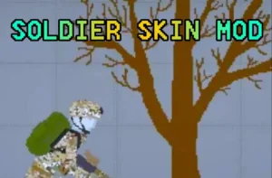 Read more about the article SOLDIER SKIN MELON PLAYGROUND MOD