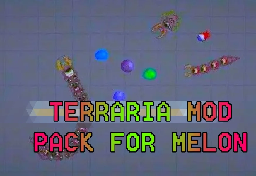 Read more about the article TERRARIA MOD PACK FOR MELON PLAYGROUND
